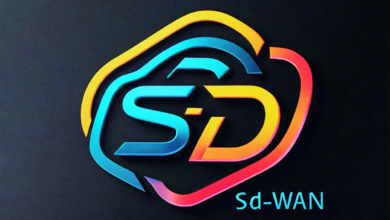 SD-WAN