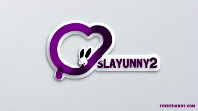 Slayunny2