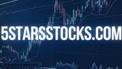 5starsstocks.com: Top Investment Platform for Financial Success